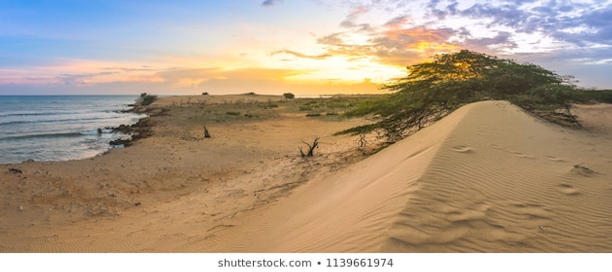 Lugar Falcon Venezuela