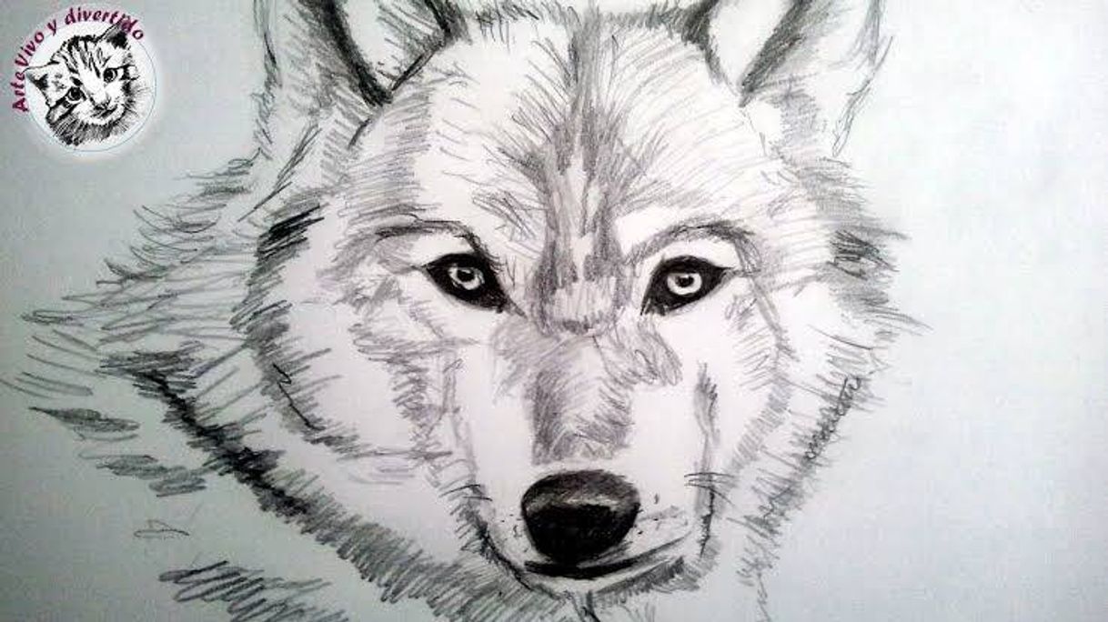 Moda Como dibujar un lobo a lapiz, paso a paso: Como dibujar animales ...