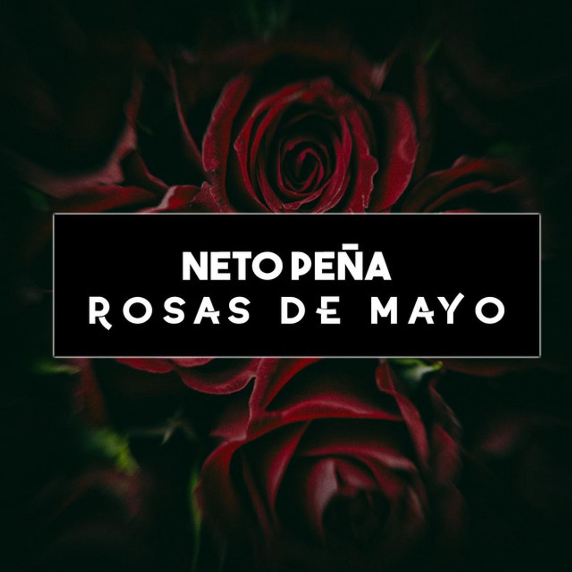 Music Rosas de Mayo