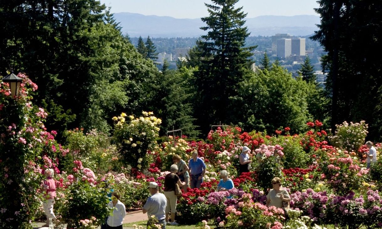 Lugares International Rose Test Garden