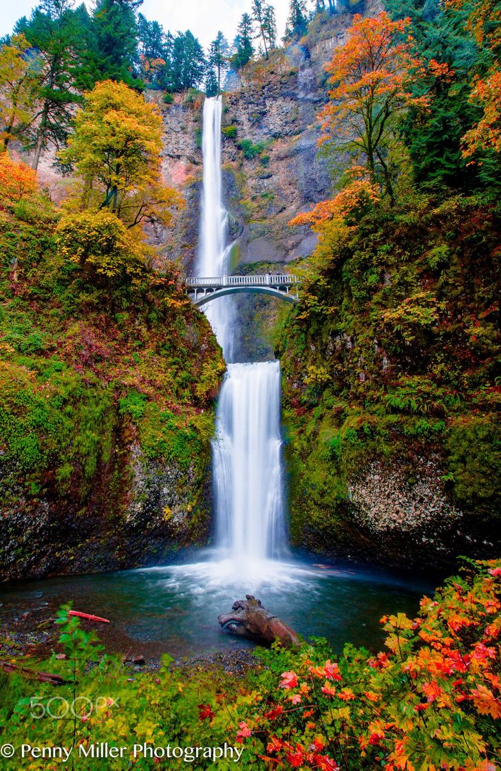 Place Multnomah Falls