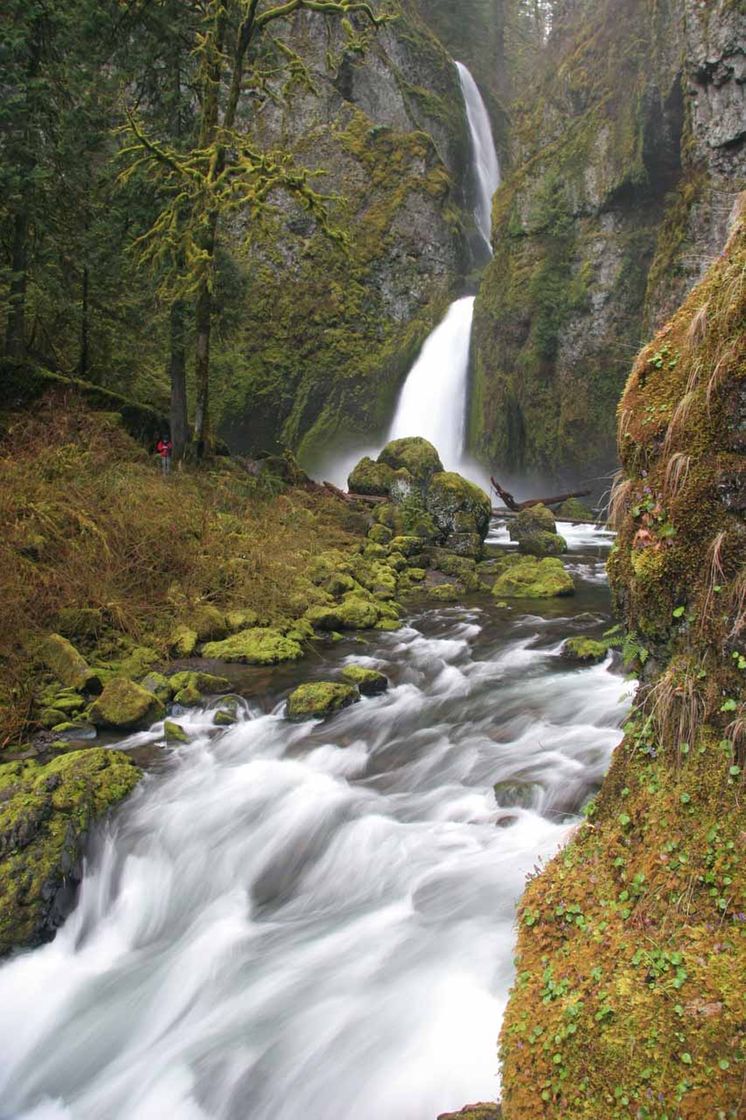 Place Wahclella Falls