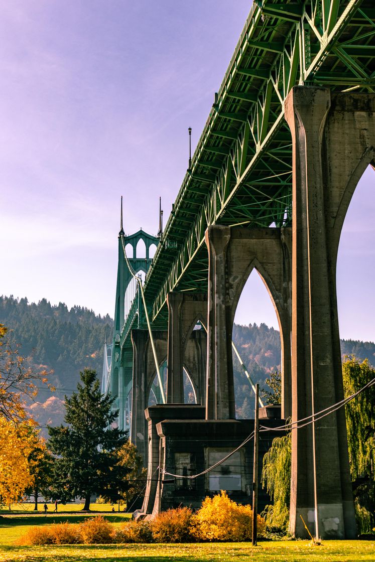 Place Cathedral Park