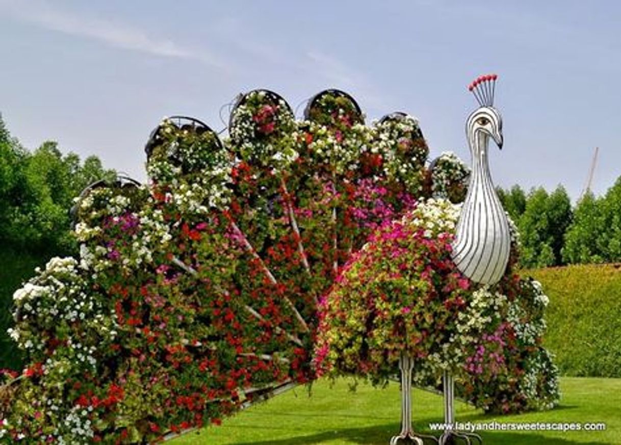 Lugar Miracle Garden