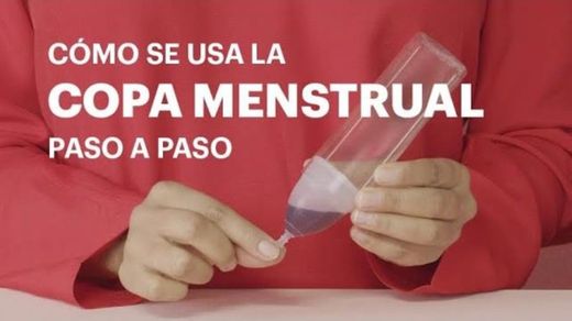 Cómo se usa la Copa Menstrual - Paso a Paso - YouTube