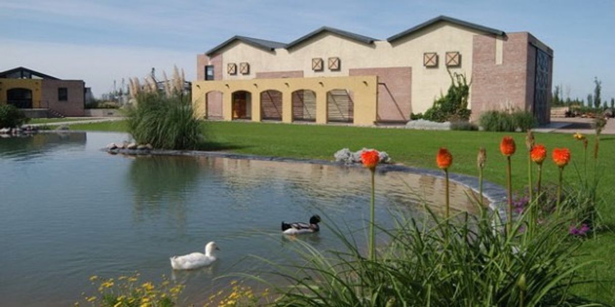 Restaurantes Bodega "Tierras Altas" de Familia Vargas Arizu.