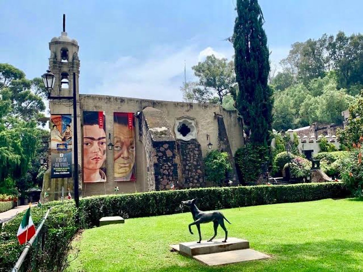 Place Museo Dolores Olmedo