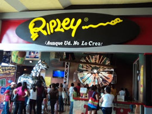 Museo de Ripley