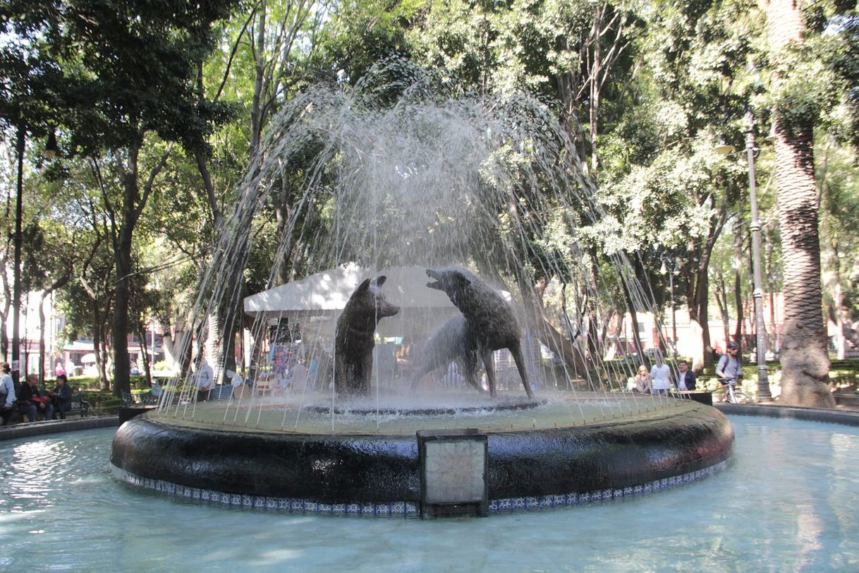 Restaurants Coyoacán