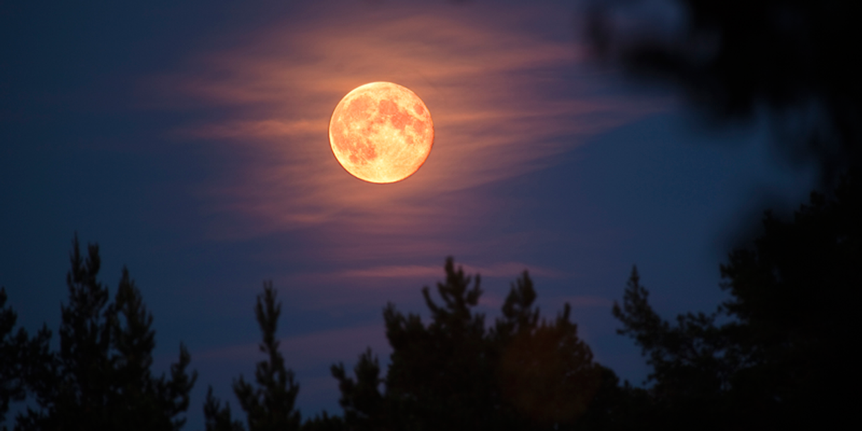 Social La belleza de la luna
