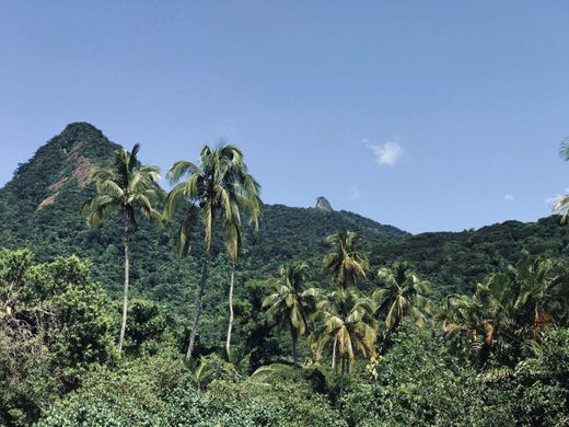 Ilha Grande