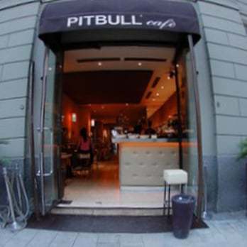 Place Pitbull cafè