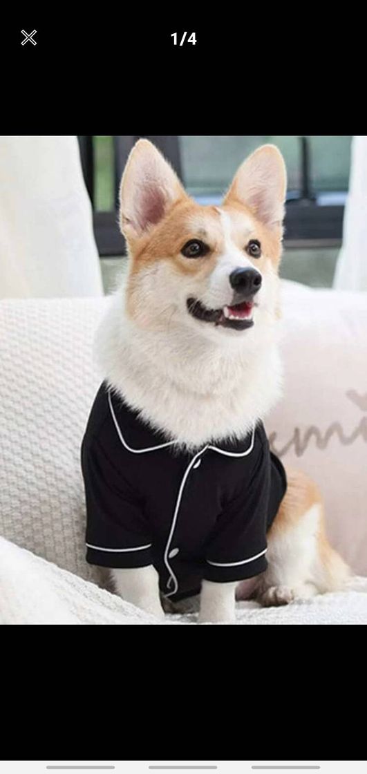 Moda Pijama para perro 😎♥️