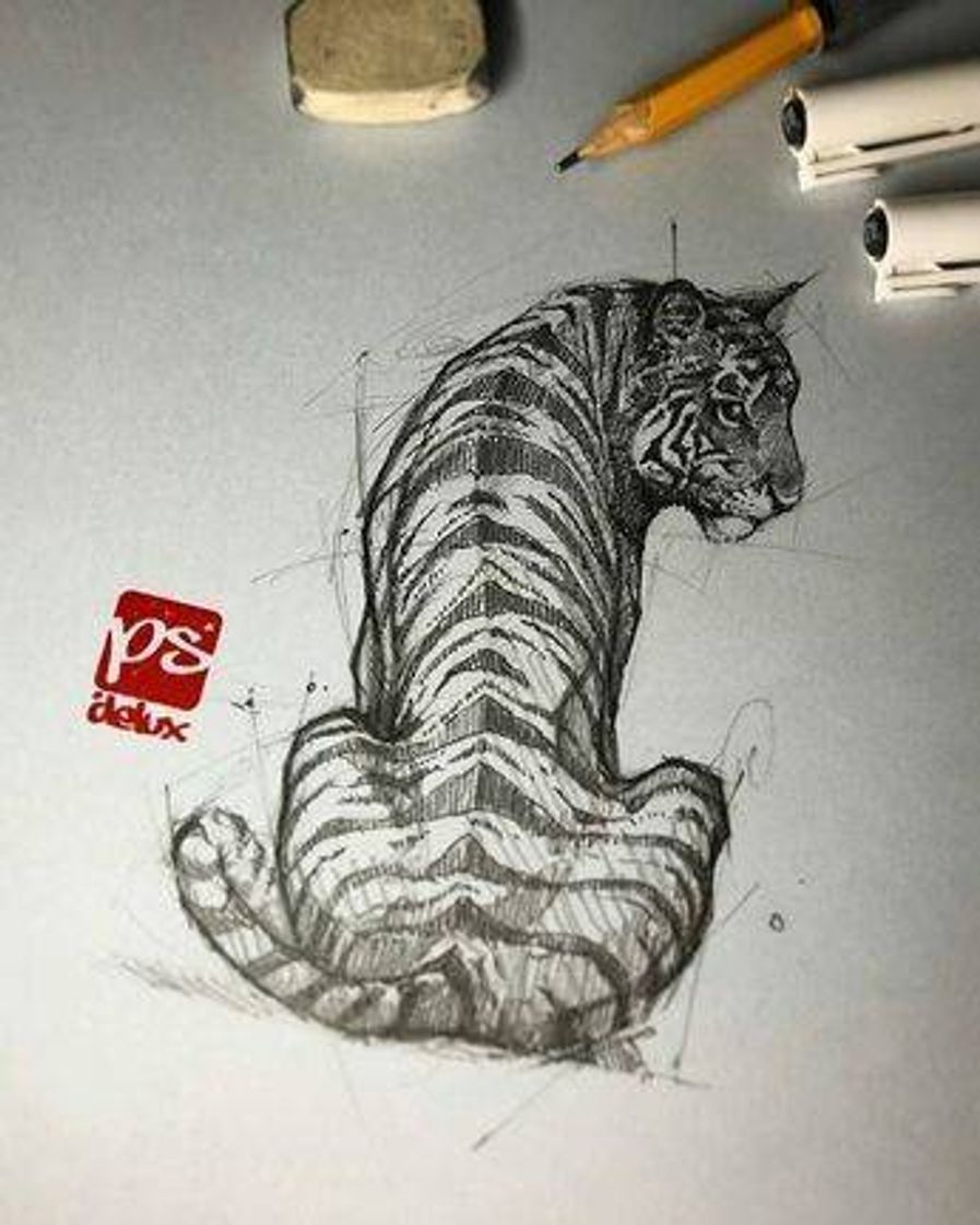 Moda Desenho tigre