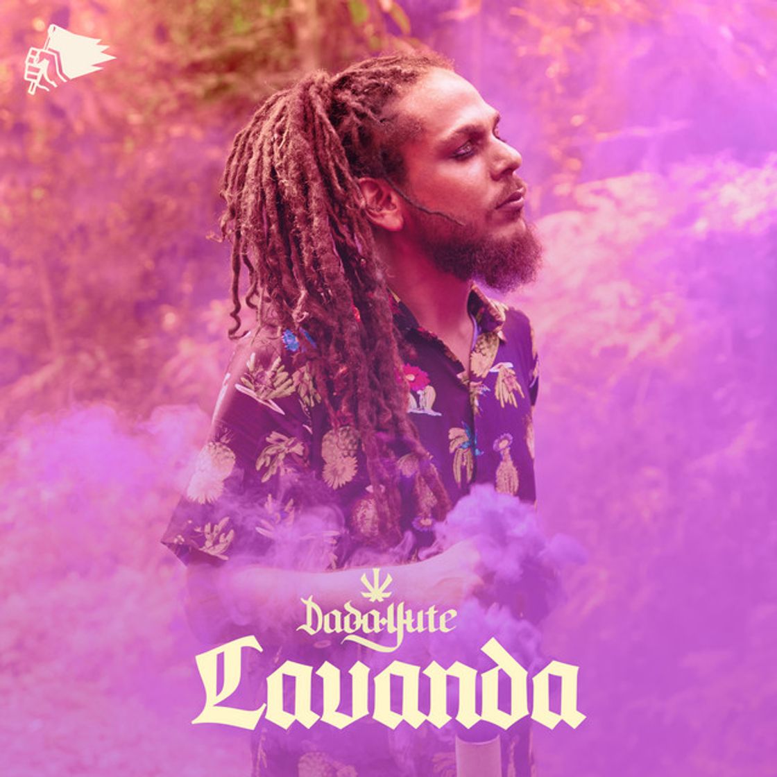 Music Lavanda