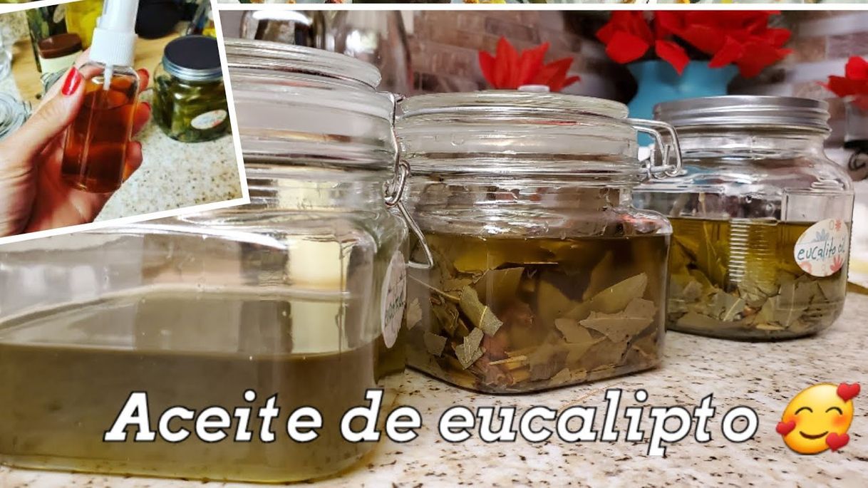 Moda Como hacer aceite de eucalipto - YouTube