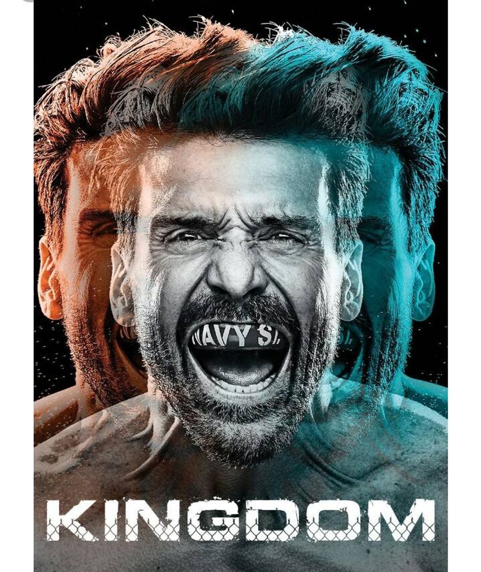 Serie Kingdom