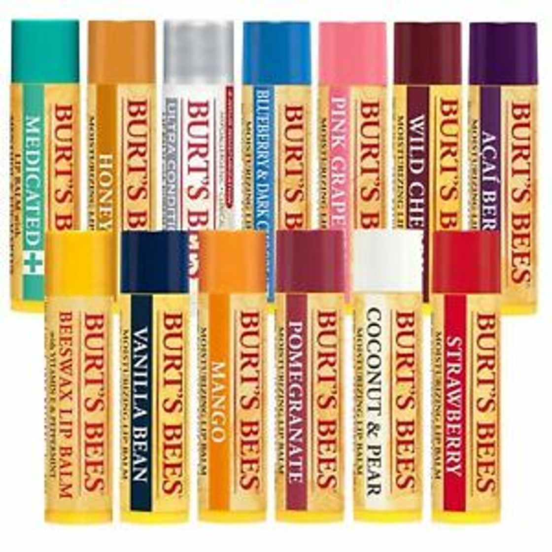 Social Burts Bees
