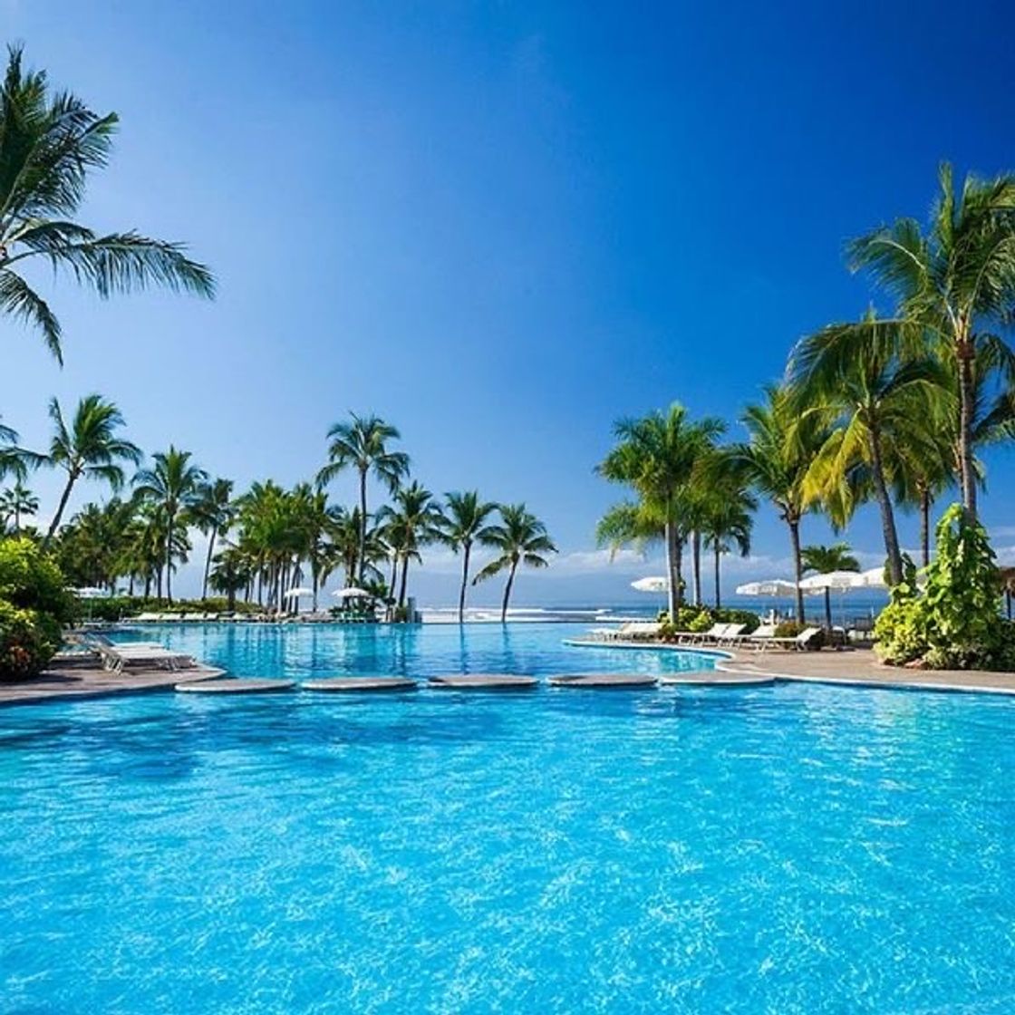 Place Nuevo Vallarta