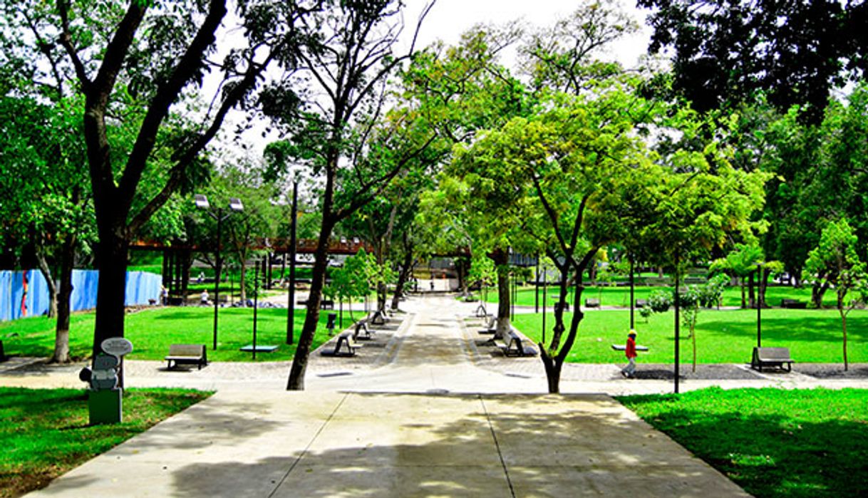 Lugares Parque Cuscatlán