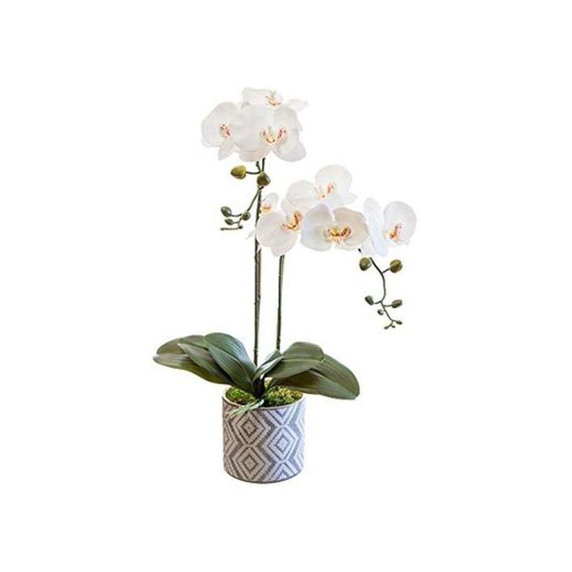 Social Orquidea Artificial, Altura 65 cm, Phalaenopsis, Maceta de Cerámica, Ideal para Decoración