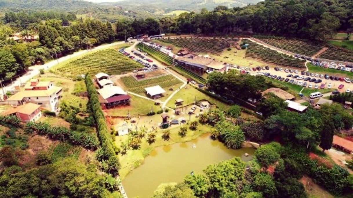 Restaurants Quinta do Olivardo - São Roque/SP