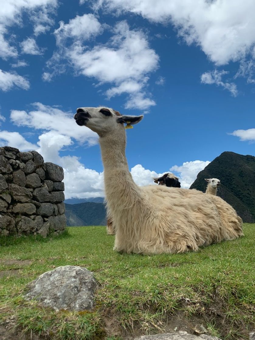 Lugares Machupicchu