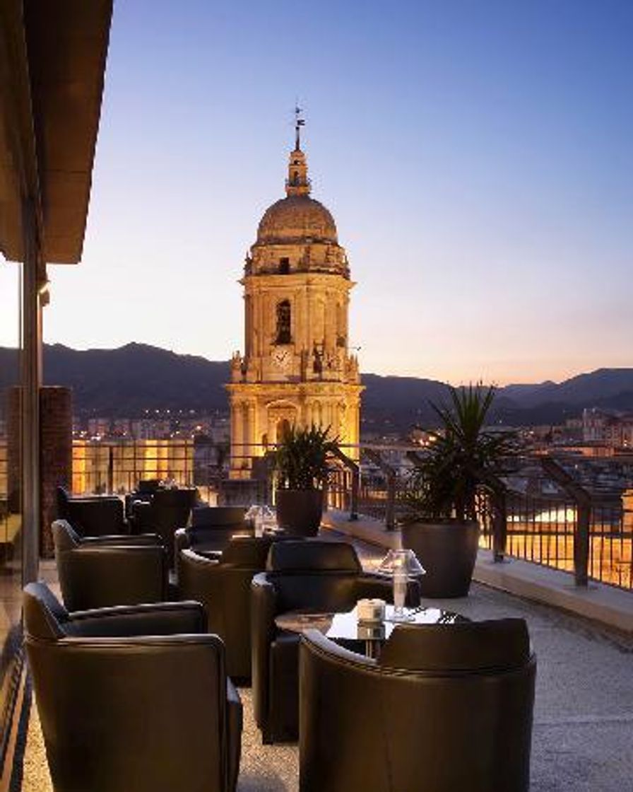 Lugar Hotel Málaga Palacio