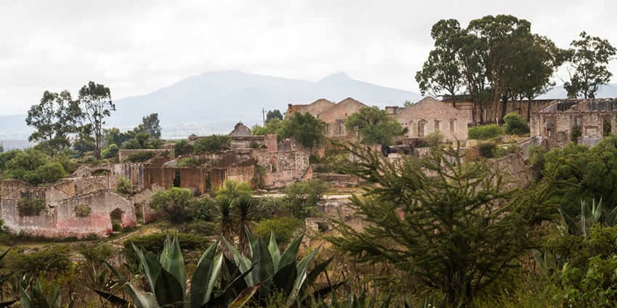 Lugar Mineral de Pozos