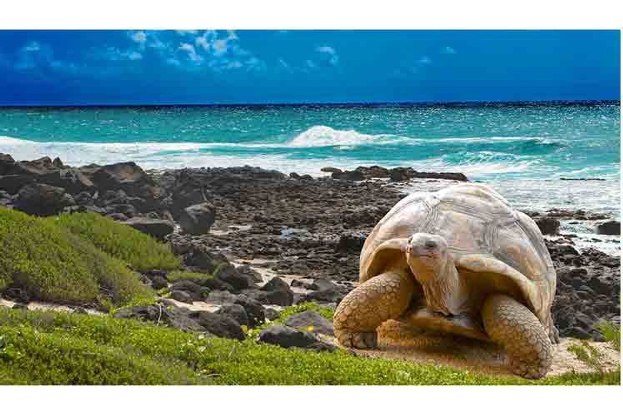 Lugar Galapagos Islands