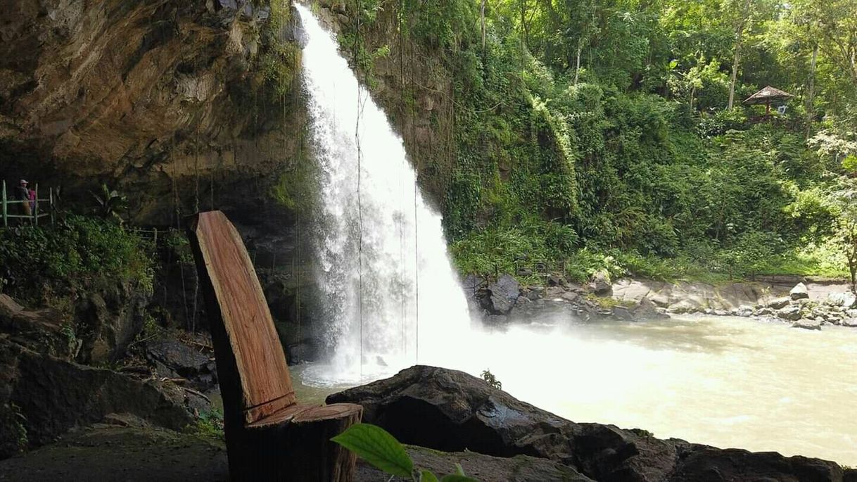 Lugar Eco-Lodge Cascada Blanca