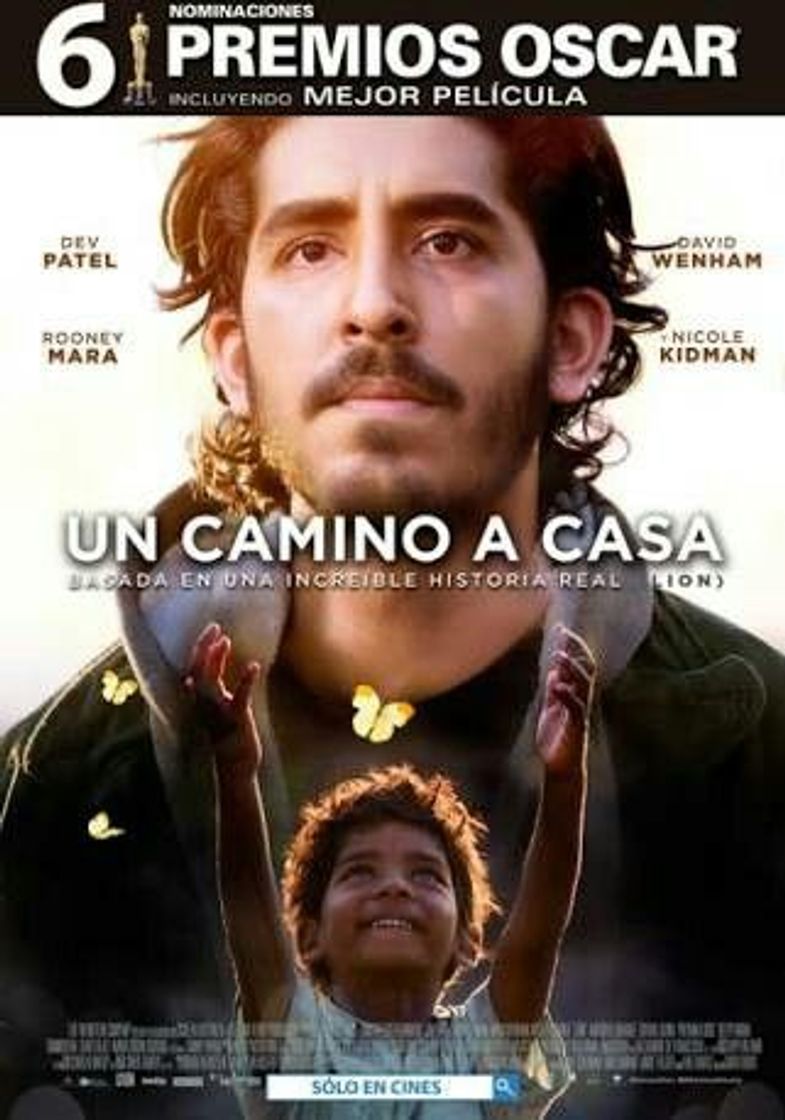 Película Un camino a casa 