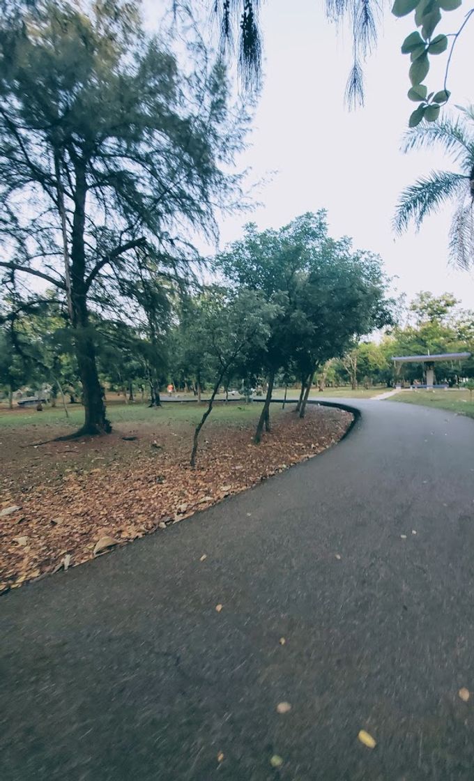 Place Parque Mirador Sur (Nuñez de Cáceres)