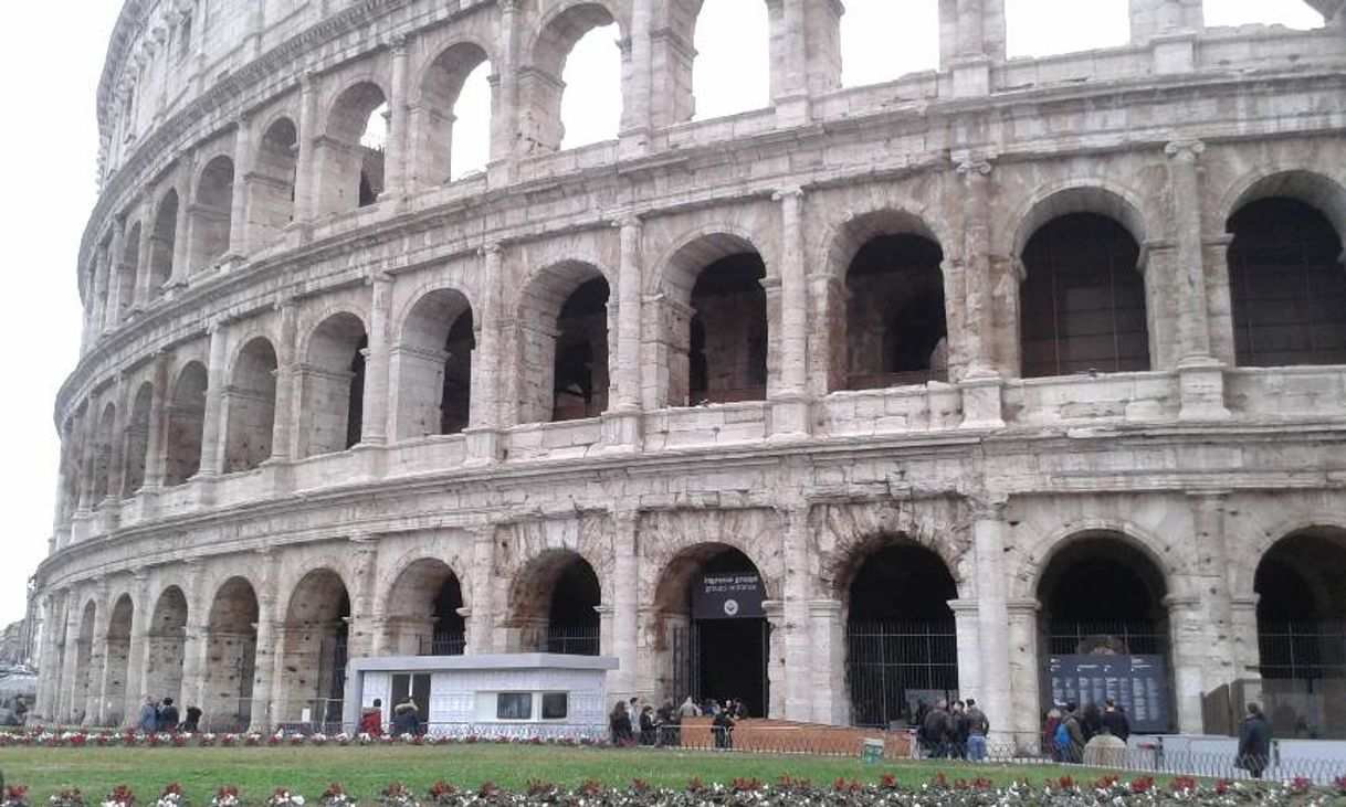 Lugar Coliseo de Roma