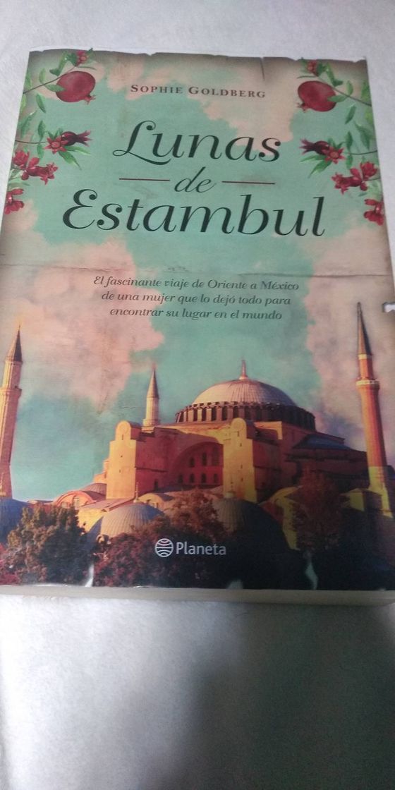 Libro Lunas de Estambul