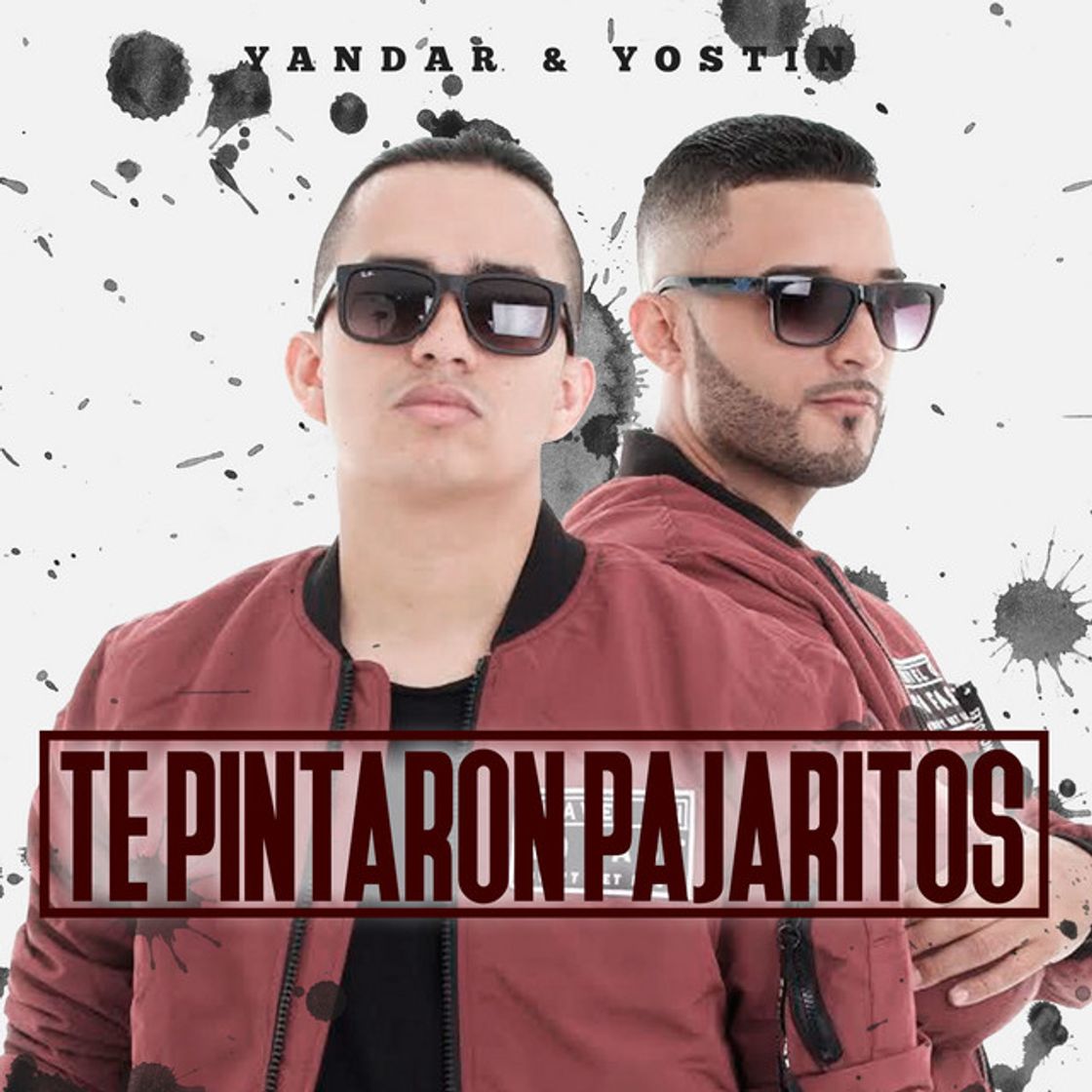 Canción Te Pintaron Pajaritos