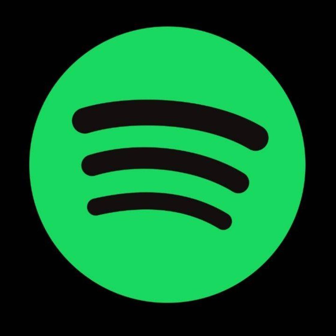 Fashion Spotify 