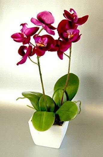 Seda Artificial Rosado Fucsia de Mini Orquídea en un Crisol