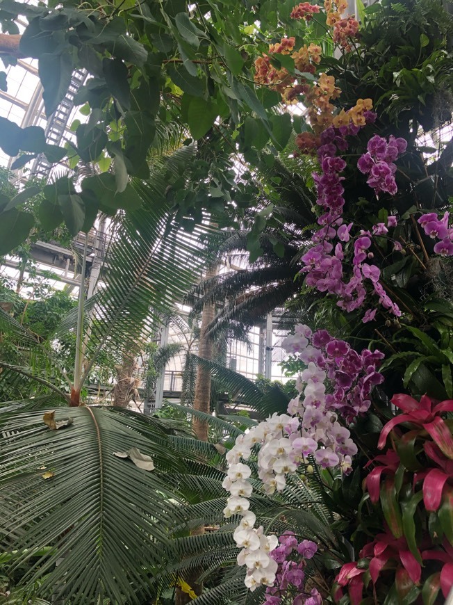 Place United States Botanic Garden