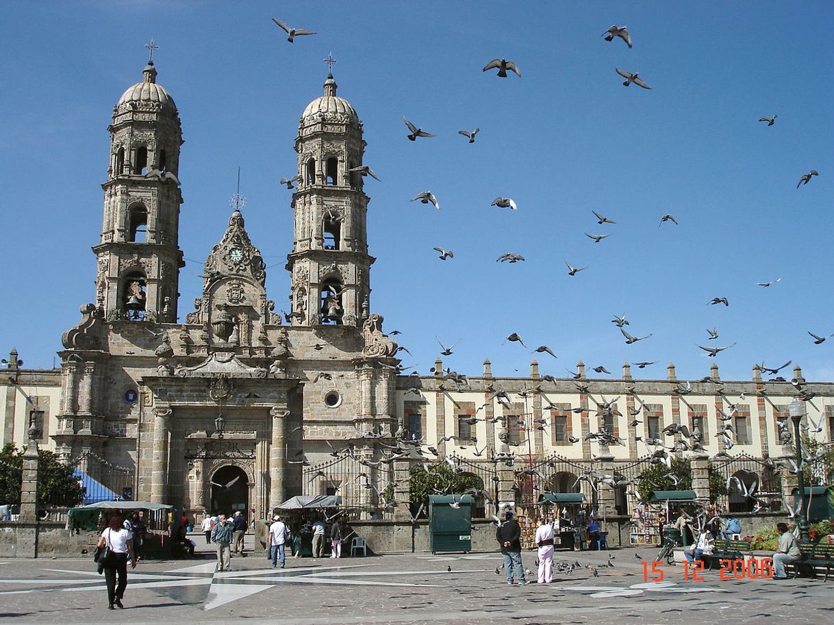 Place Zapopan Centro
