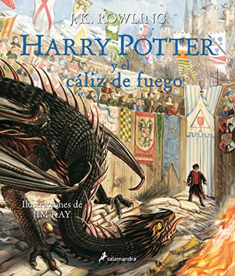 Libro Harry Potter y el cáliz de fuego: 4