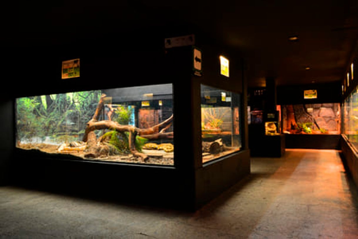 Place Zoológico De Morelia Herpetario