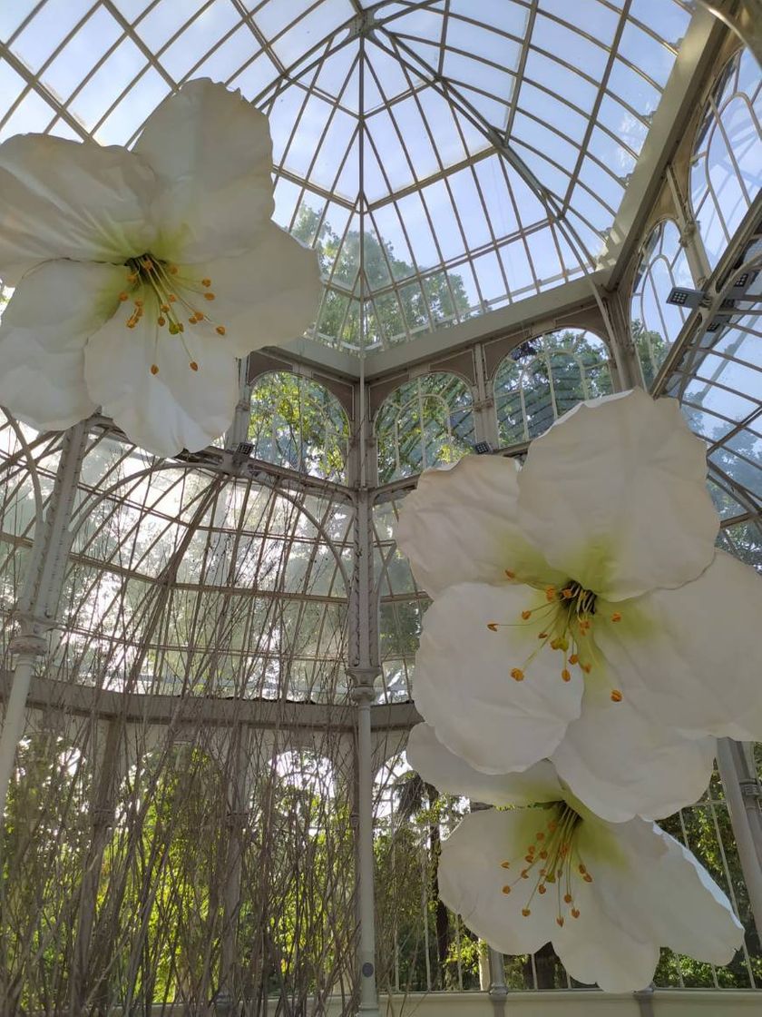 Social Exposición en el palacio de cristal
