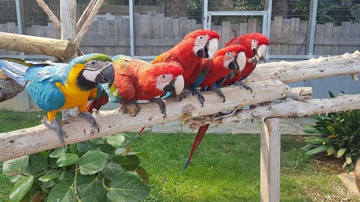 Lugar Jardín del Papagayo