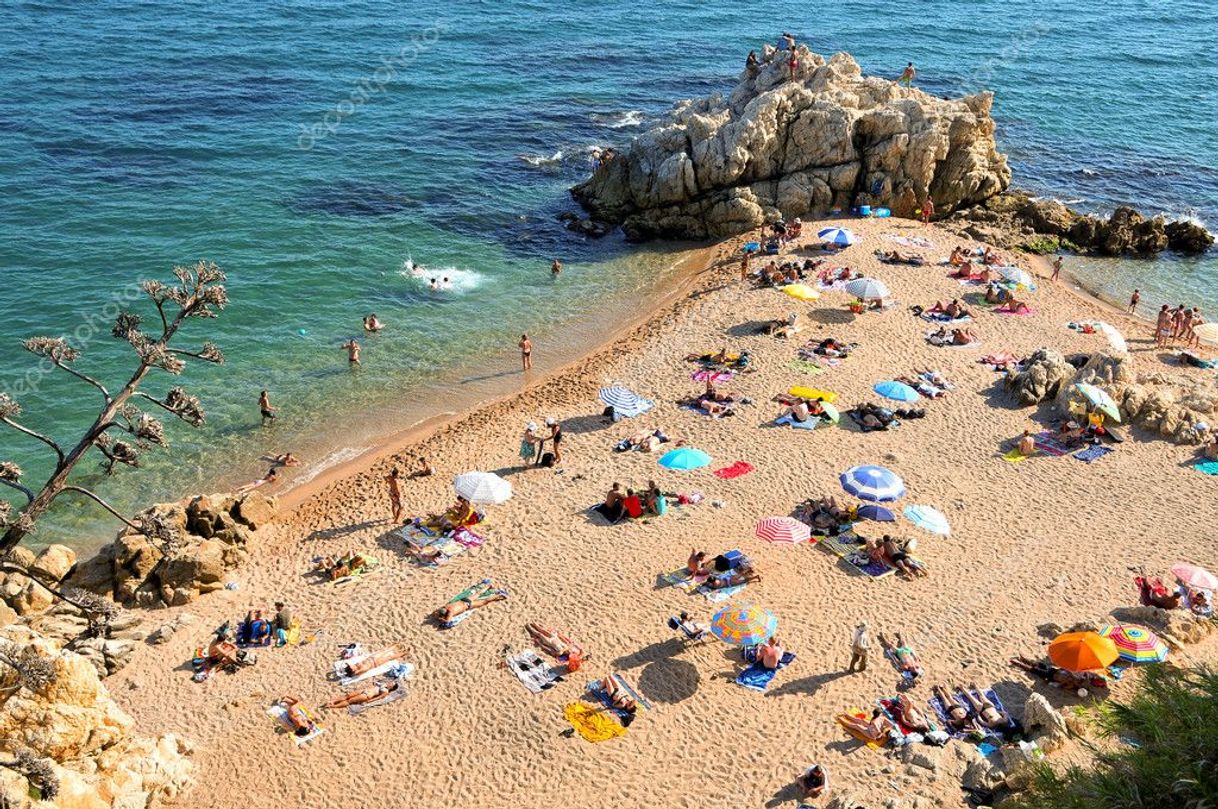 Lugar Platja de Sant Pol