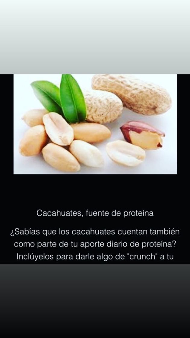 Fashion Alternativa de proteína 