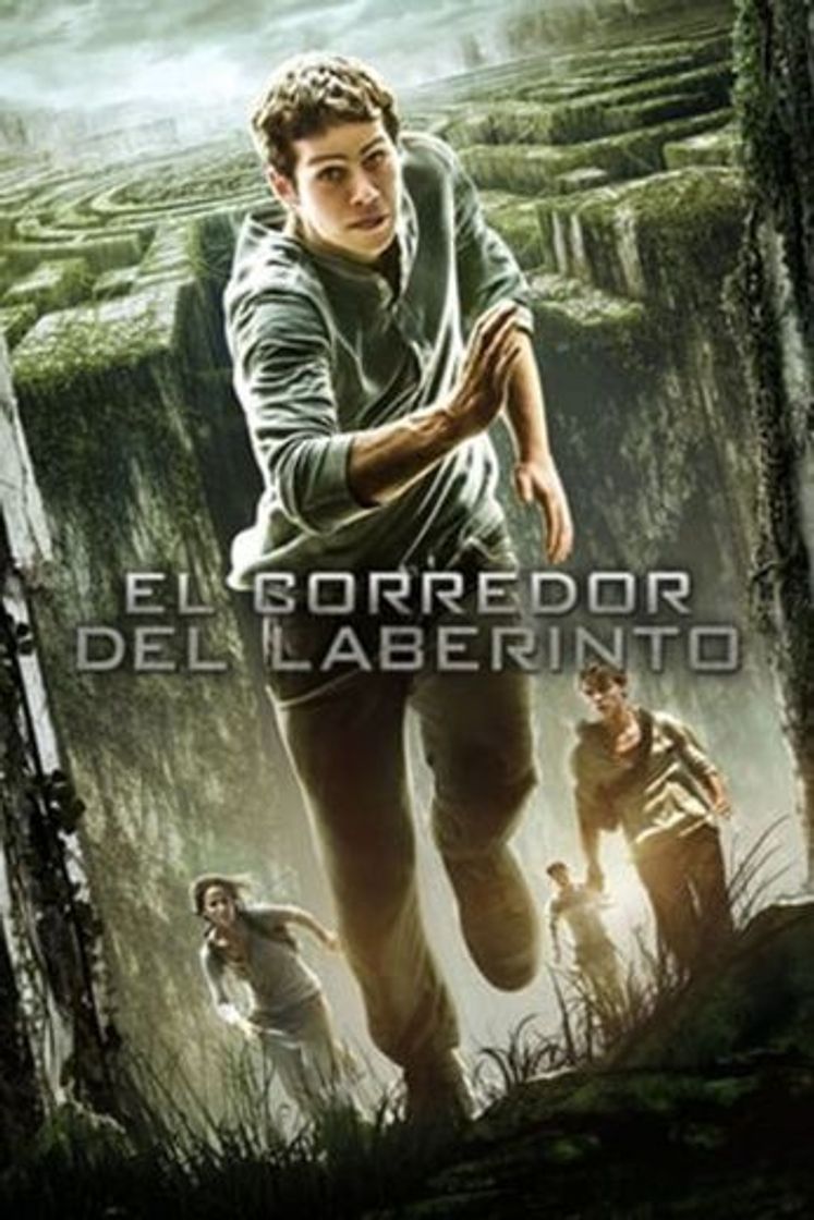 Movie El corredor del laberinto