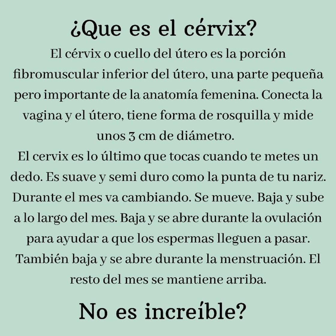 Fashion Que es el cervix? 