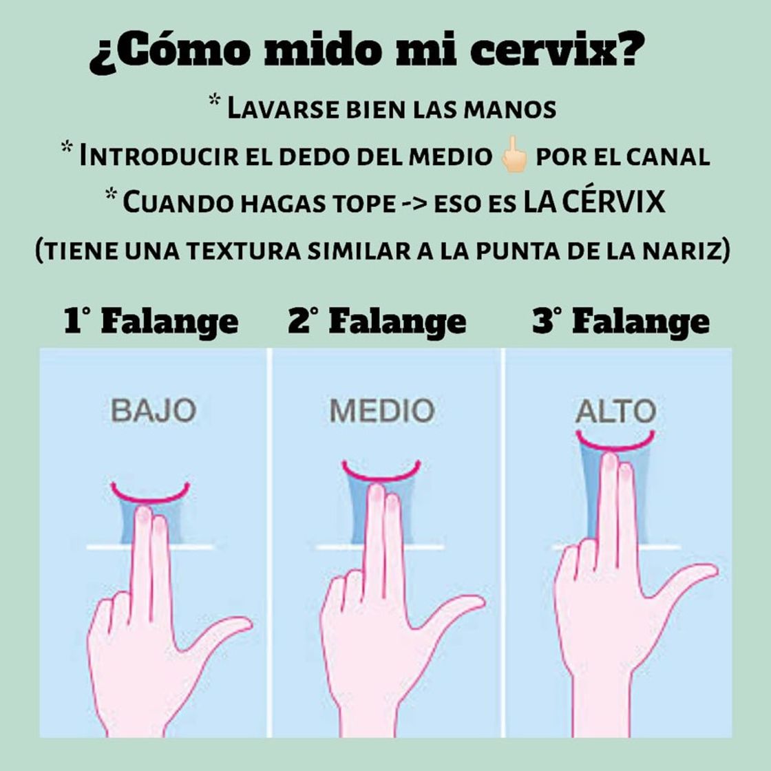 Fashion Cómo mediar el cervix 