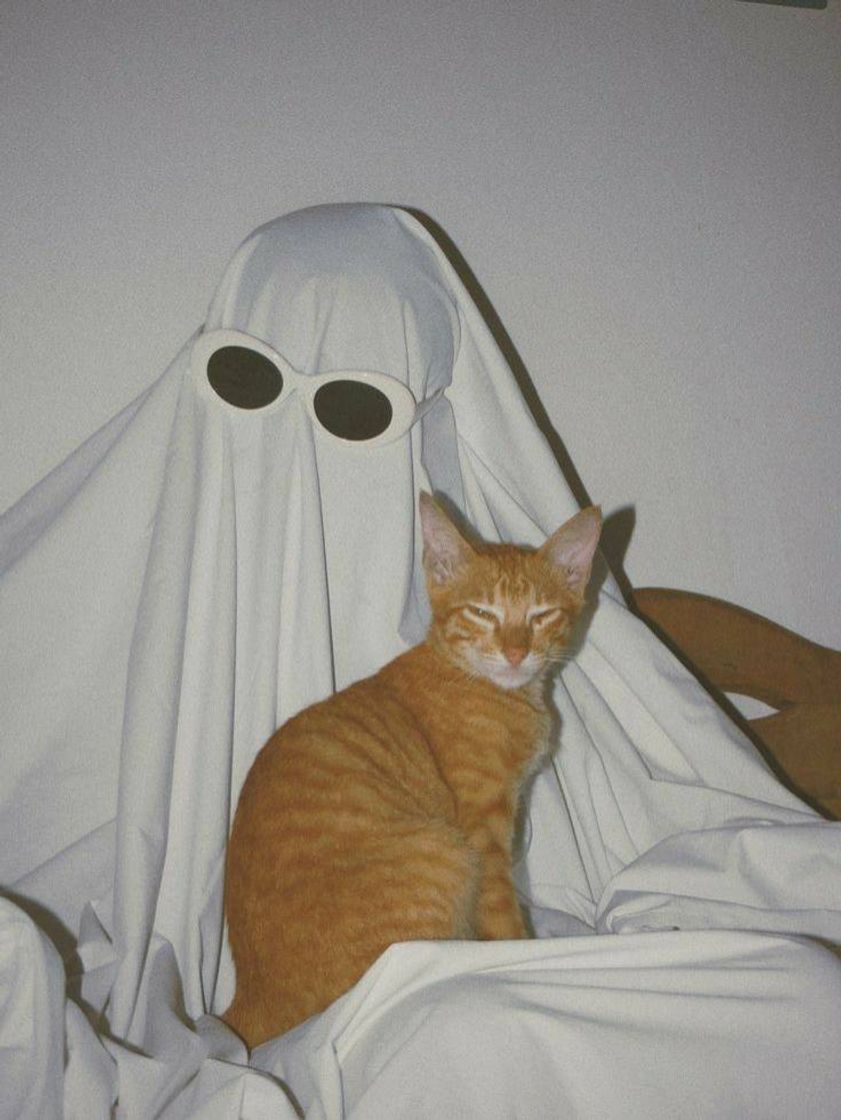 Fashion ghost with a cat